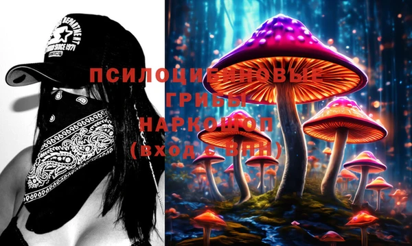 СК Новозыбков