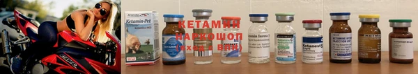 СК Новозыбков
