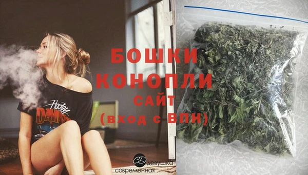 СК Новозыбков