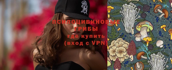 ALPHA-PVP Новодвинск