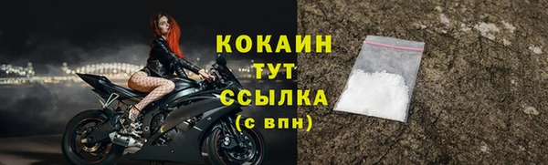 СК Новозыбков