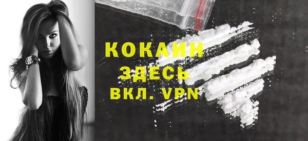 крисы Анива