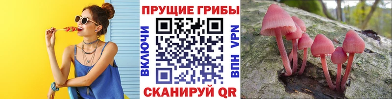 mega рабочий сайт  Шимановск  Галлюциногенные грибы прущие грибы 